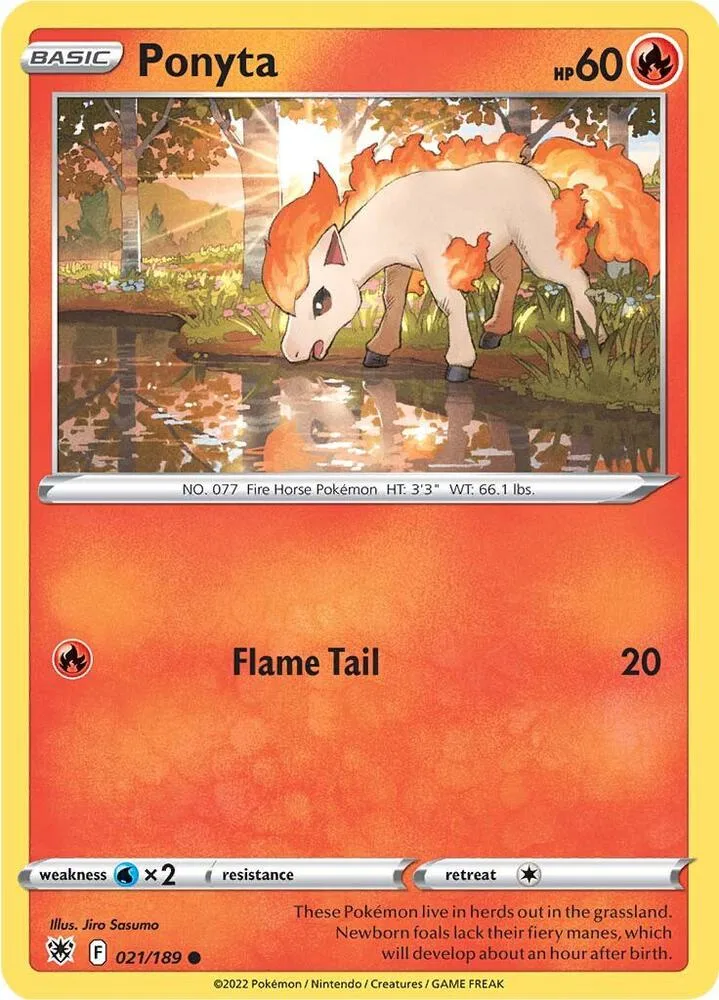 Ponyta card front