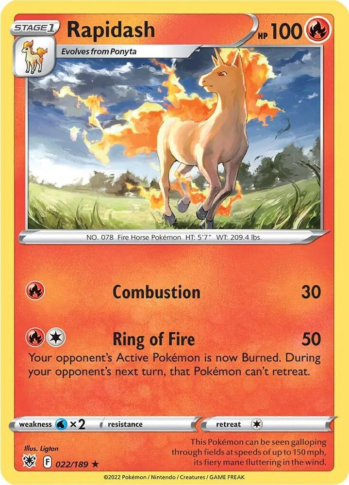 Rapidash card front