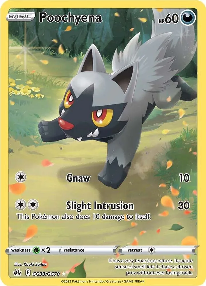 Poochyena card front