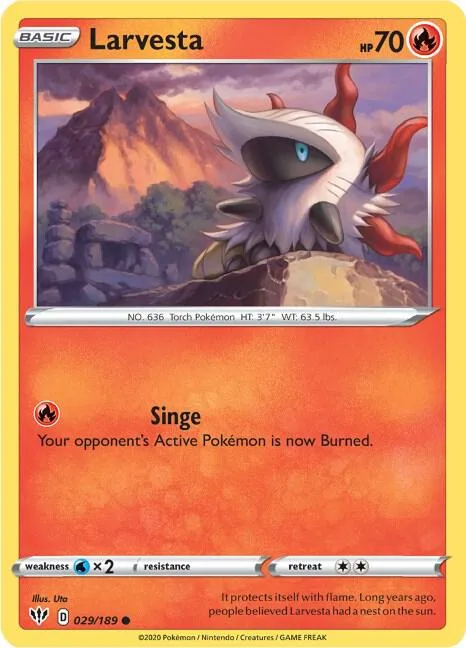 Larvesta card front