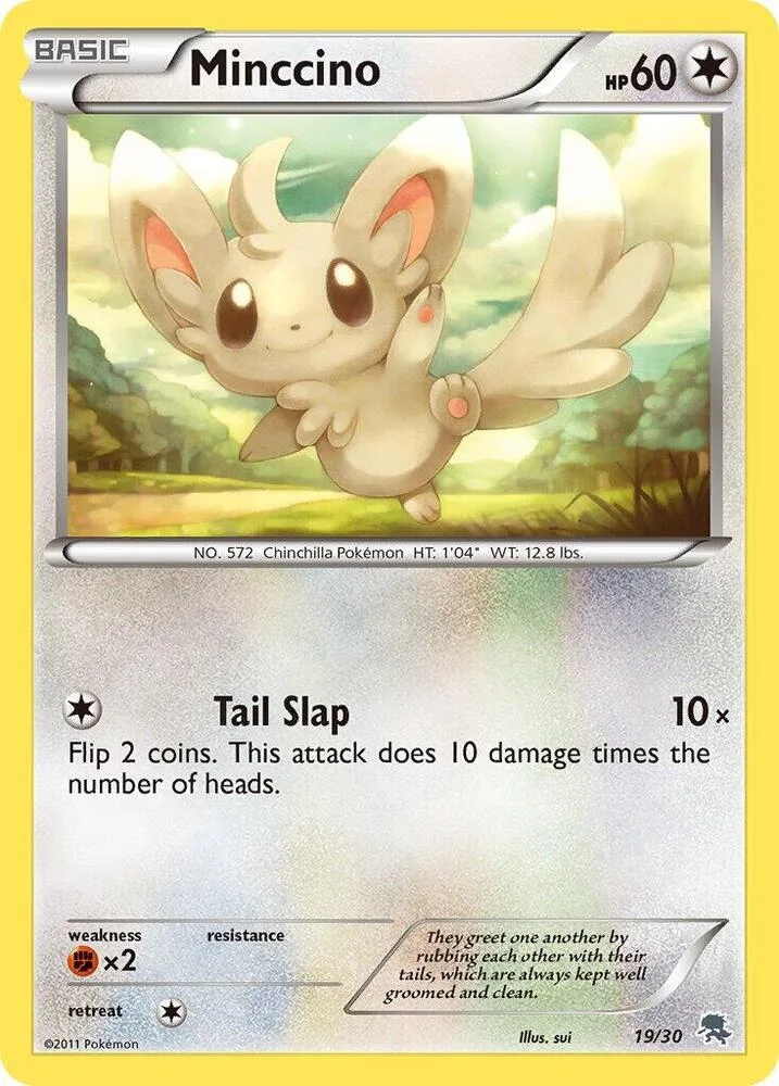 Minccino (#19) card front