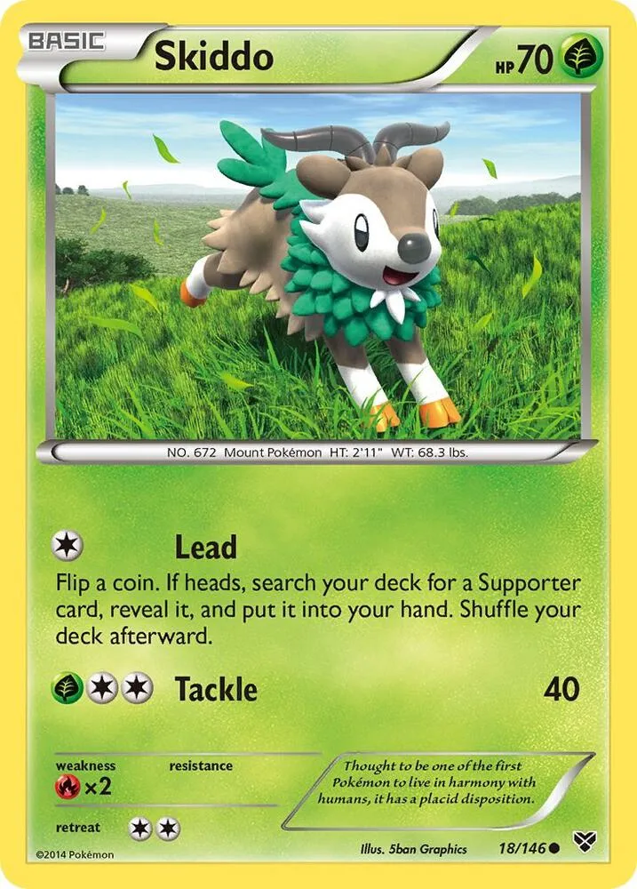Skiddo card front