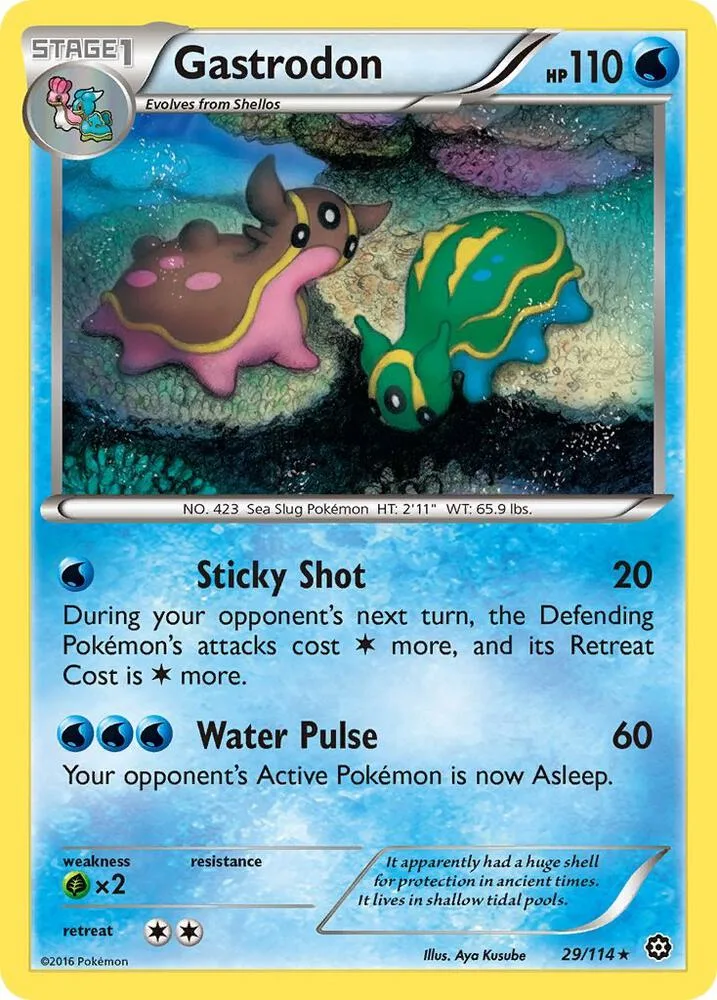 Gastrodon card front