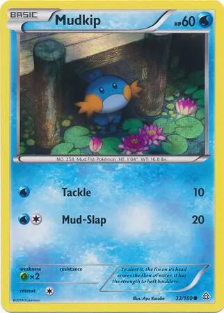 Mudkip (Sheen Holo) thumbnail