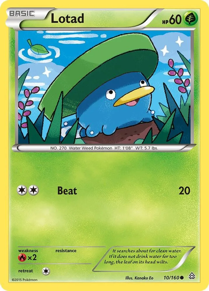 Lotad card front