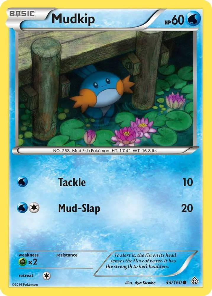 Mudkip card front