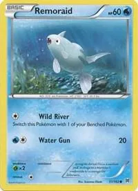 Remoraid card front
