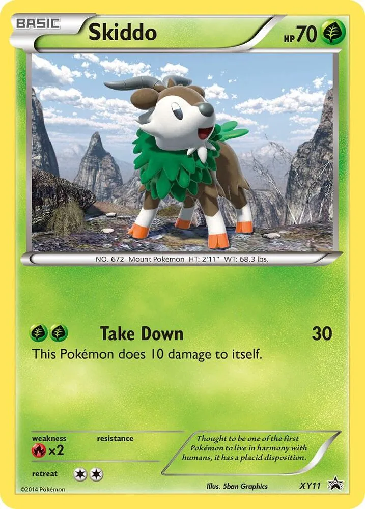 Skiddo card front