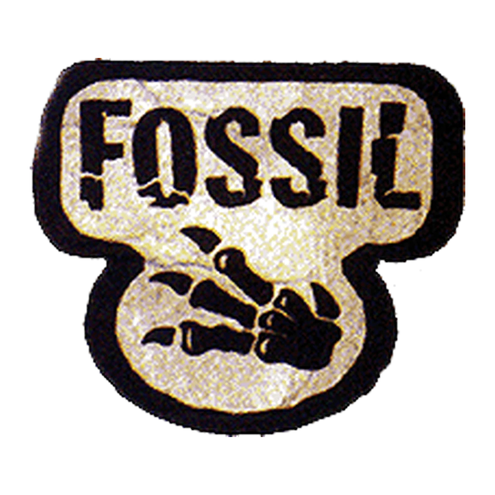 Fossil Pokémon TCG logo