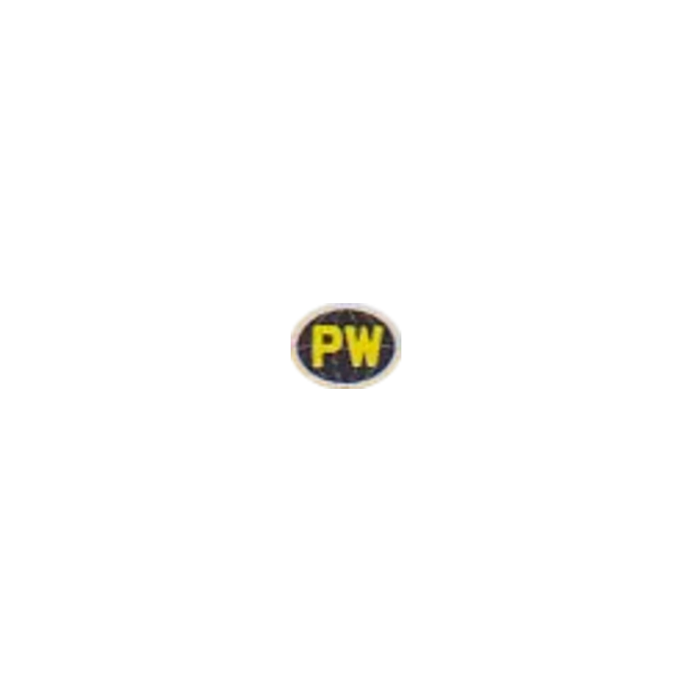 Pikachu World Collection 2010 Pokémon TCG logo